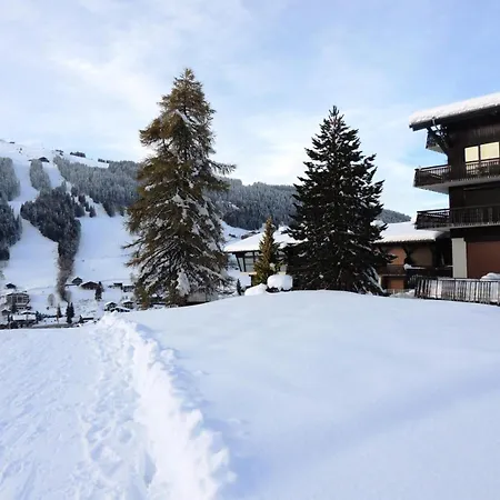 Grizzly - Skis Aux Pieds, Entierement Renove Mae-1051 * Les Gets